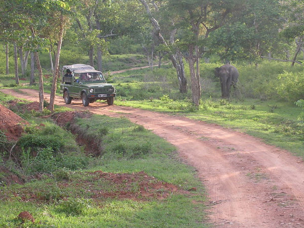 Road trip from Bangalore to Wayanad Road trip from Bangalore to Wayanad