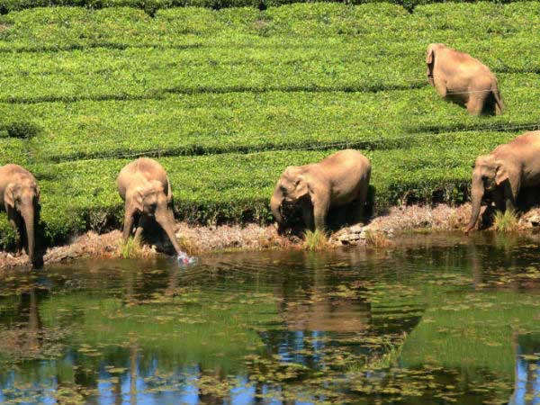 Meghamalai Tourism Meghamalai Tourism