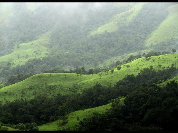 ಚಳಿಗಾಲದಲ್ಲಿ ಒಮ್ಮೆ ಕುದುರೆಮುಖ ಚಾರಣಕ್ಕೆ ಹೋಗಿ ಬನ್ನಿ! ಚಳಿಗಾಲದಲ್ಲಿ ಒಮ್ಮೆ ಕುದುರೆಮುಖ ಚಾರಣಕ್ಕೆ ಹೋಗಿ ಬನ್ನಿ!