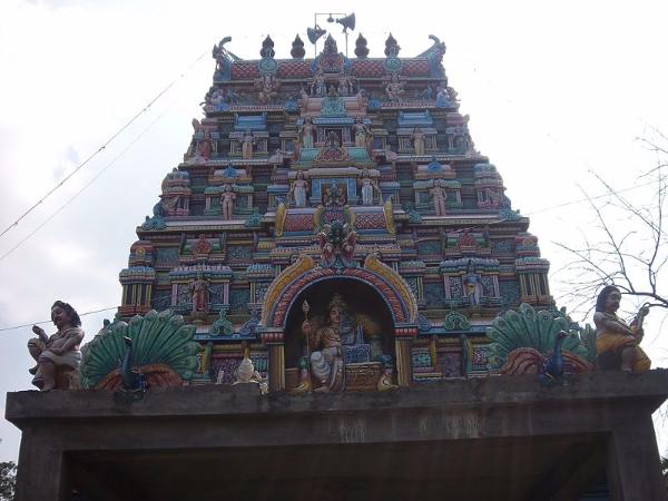 ಕೊಲಂಜಿ ಕಾಡಿನ ಮುರುಗನ ದೇಗುಲ! ಕೊಲಂಜಿ ಕಾಡಿನ ಮುರುಗನ ದೇಗುಲ!
