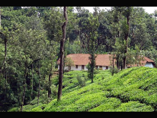 ಕಿಗ್ಗದ ಋಷ್ಯಶೃಂಗೇಶ್ವರನ ದರ್ಶನ! ಕಿಗ್ಗದ ಋಷ್ಯಶೃಂಗೇಶ್ವರನ ದರ್ಶನ!