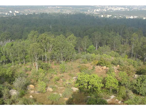 Turahalli Forest Turahalli Forest