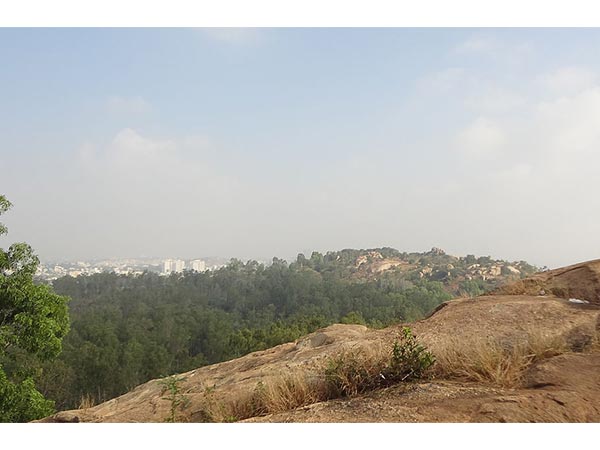Turahalli Forest Turahalli Forest
