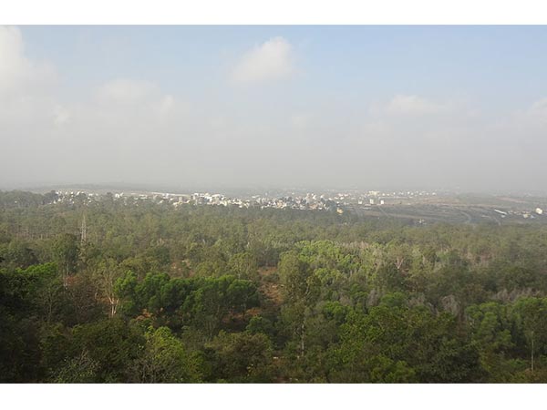 Turahalli Forest Turahalli Forest