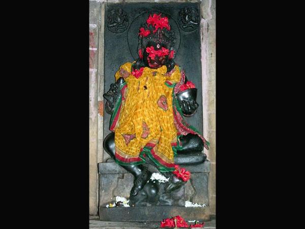 ದಿನಕ್ಕೊಂದು ಮೀನು ತಿಂದು ಹರಸುವ ವರಾಹಿ! ದಿನಕ್ಕೊಂದು ಮೀನು ತಿಂದು ಹರಸುವ ವರಾಹಿ!