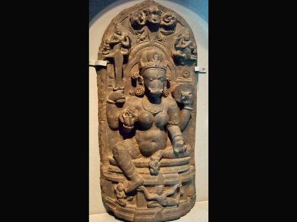 ದಿನಕ್ಕೊಂದು ಮೀನು ತಿಂದು ಹರಸುವ ವರಾಹಿ! ದಿನಕ್ಕೊಂದು ಮೀನು ತಿಂದು ಹರಸುವ ವರಾಹಿ!