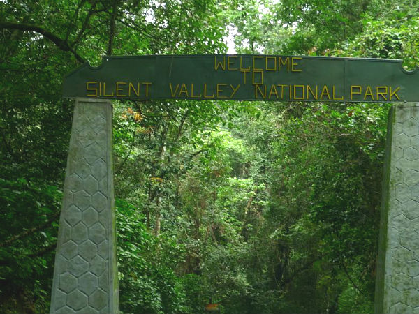 ಸೈಲೆಂಟ್ ವ್ಯಾಲಿ ರಾಷ್ಟ್ರೀಯ ಉದ್ಯಾನವನ