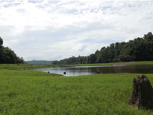 ತಟ್ಟೆಕ್ಕದ ಪಕ್ಷಿಧಾಮ