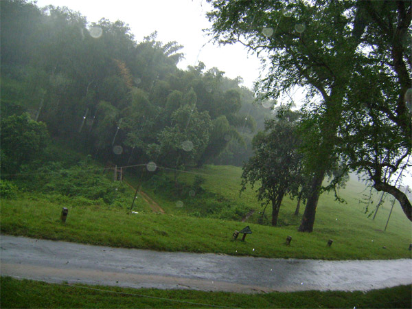 ಟಾಪ್ಸ್ಲಿಪ್ ವನ್ಯಧಾಮ