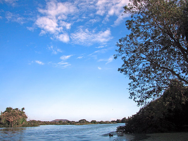 ವೆದಾನ್ಥನ್ಗಳ ಪಕ್ಷಿಧಾಮ