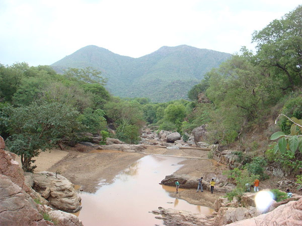 ಅಮೃತಿ ಪ್ರಾಣಿಶಾಸ್ತ್ರೀಯ ಉದ್ಯಾನ