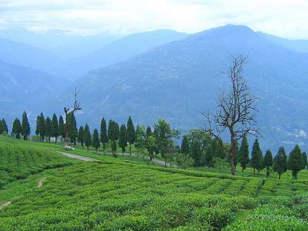 ರಾವಂಗ್ಲಾ