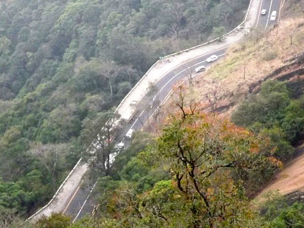 ವಯನಾಡ್ ಪಾಸ್