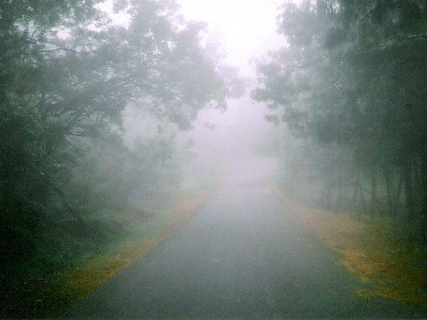 ಬೆಂಗಳೂರು-ಕೊಡೈಕೆನಾಲ್