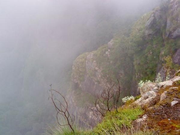 ಗ್ರೀನ್ ವ್ಯಾಲಿ ವ್ಯೂ