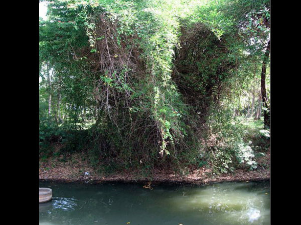 ಬಾಲಮುರುಗನ ದೇವಾಲಯ