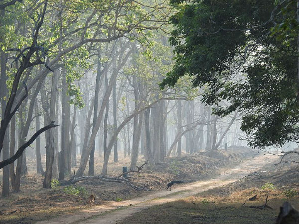 1.ಕಬಿನಿ ಅರಣ್ಯ