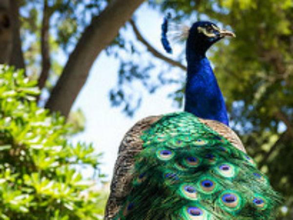 ರೈಲ್ವೆ ಮಾರ್ಗದ ಮೂಲಕ