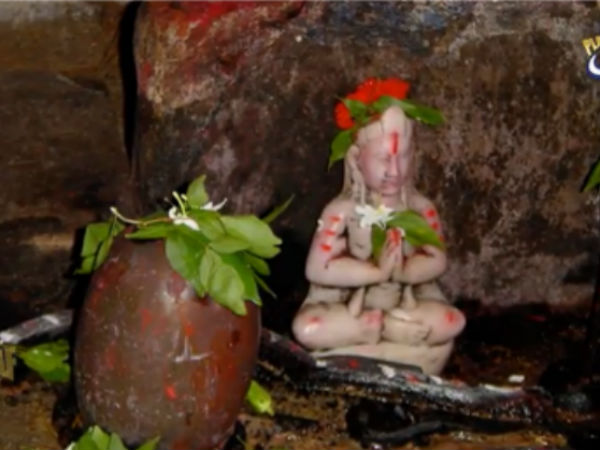 ನಿತ್ಯ ಕಲ್ಯಾಣಿ ಸಮೇತ ವಿಶ್ವನಾಥಸ್ವಾಮಿ ದೇವಾಲಯ