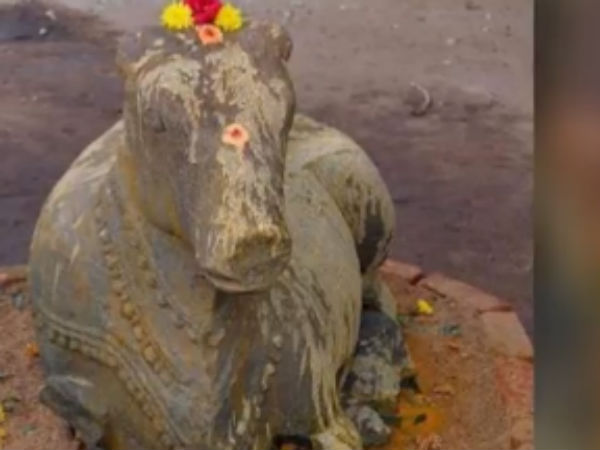 ವಿಶಿಷ್ಟತೆ