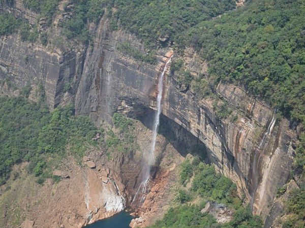ಬಿಲ್ ಬೀಜ
