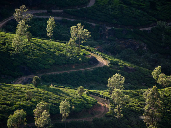 ಮುನ್ನಾರ್
