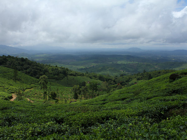 ವಯನಾಡ್