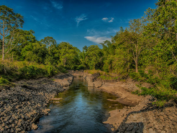ಪರ೦ಬಿಕುಲಮ್ ವ್ಯಾಘ್ರ ರಕ್ಷಿತಾರಣ್ಯ