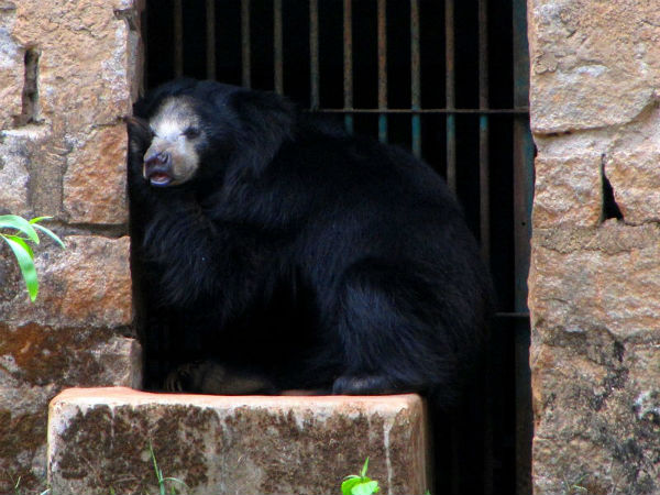 ಪಿಲಿಕುಲಾ ನಿಸರ್ಗಧಾಮ
