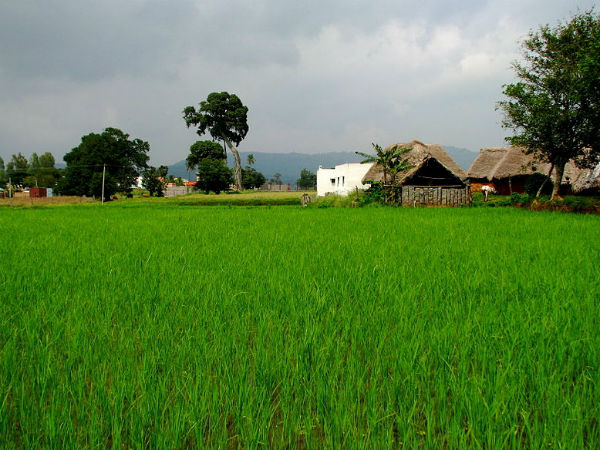 4. ಯೆಳಗಿರಿ (Yelagiri)
