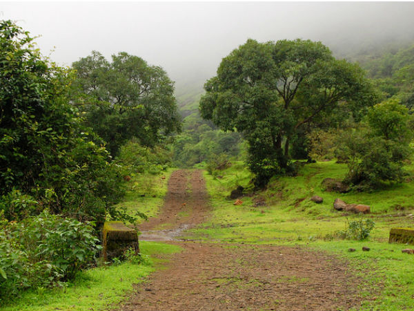 8. ಲೊನಾವಾಲಾ (Lonavala)