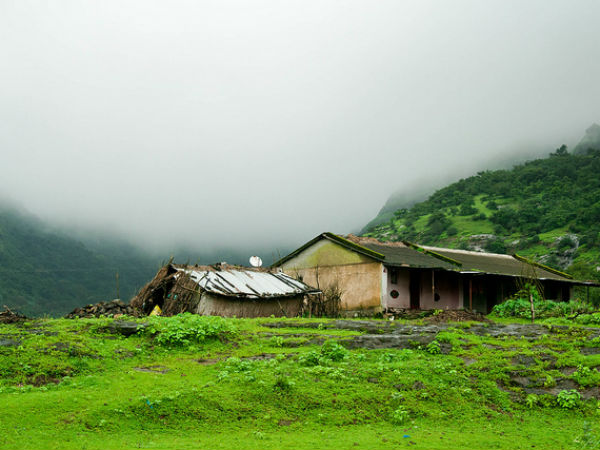 19. ಅ೦ಬೋಲಿ (Amboli)