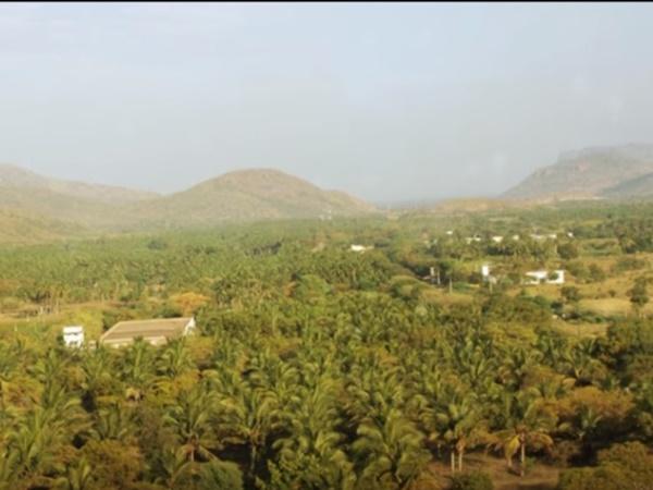 ಭಾರತೀಯ ಅರಣ್ಯ ಇಲಾಖೆ