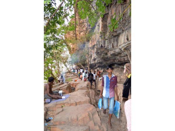 ಅರಣ್ಯದ ವೈಭವ