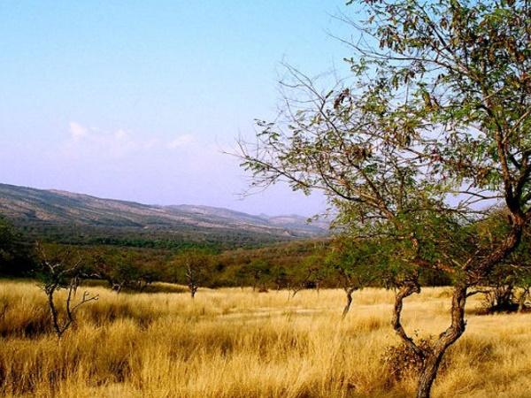 ಸಮೀಪದಲ್ಲಿನ ಪ್ರವಾಸಿ ತಾಣಗಳು
