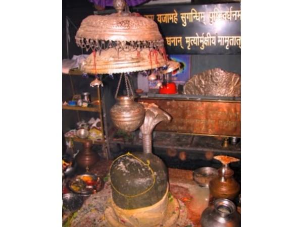 ಸ್ವಯಂ ಭೂ