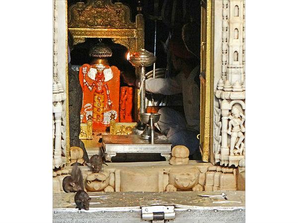 ಎಷ್ಟು ಮೂಶಿಕಗಳಿವೆ?