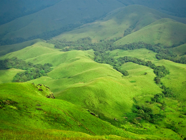 ಮ೦ಡಲ್ಪತ್ತಿ