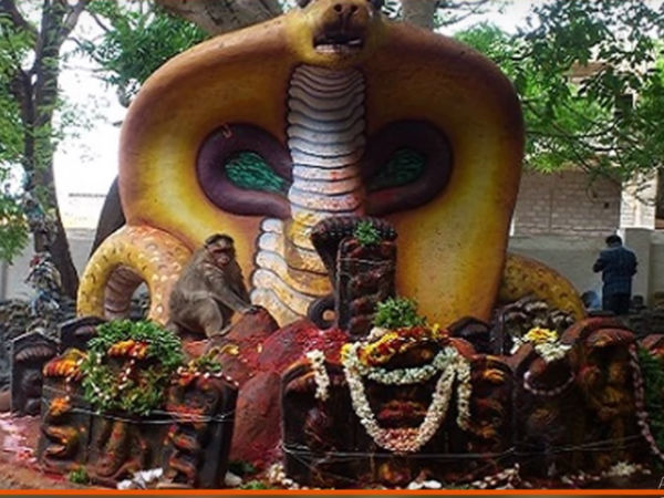 ಬ್ರಾಹ್ಮಣ