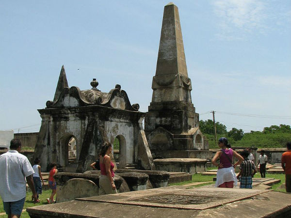 ಪಕ್ಷಿ ಸಂಕುಲ