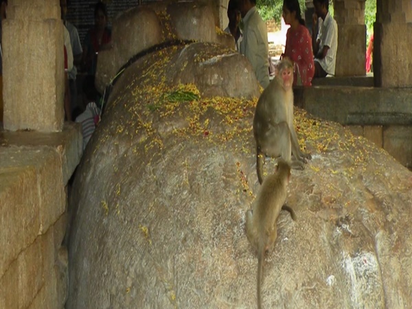 ರಹಸ್ಯ