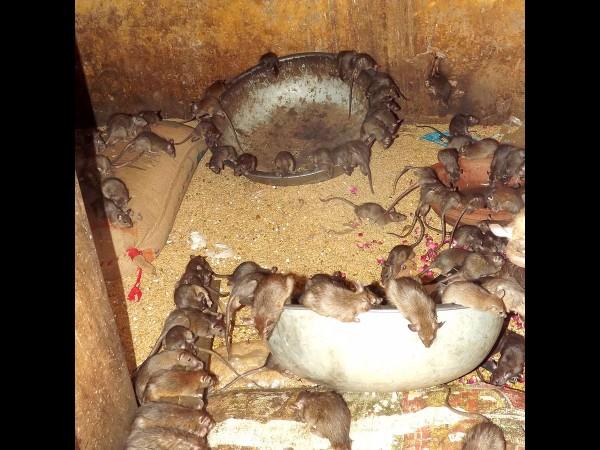 ಅದ್ಭುತವಾದ ಶಕ್ತಿಗಳು