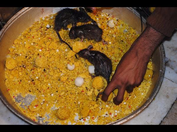 ಅನ್ನ, ಪ್ರಸಾದ