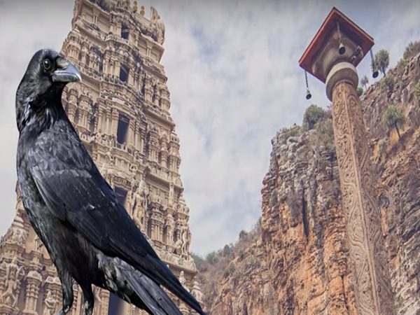 ಕಾಗೆಗಳು