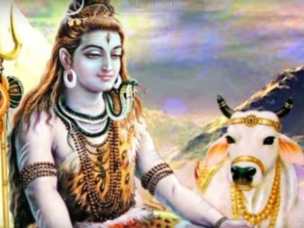 ಹಕ್ಕಿಗಳು