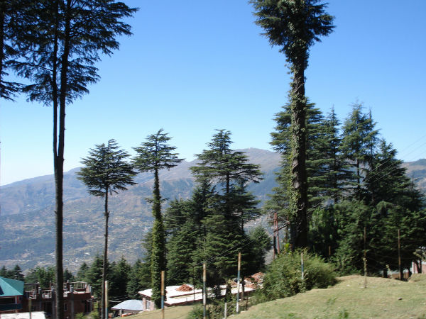 ಪಟ್ಣಿಟಾಪ್ ಗೆ ತಲುಪುವ ಬಗೆ ಹೇಗೆ ?