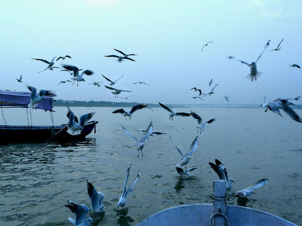 Five of the most prominent sites in Allahabad Five of the most prominent sites in Allahabad