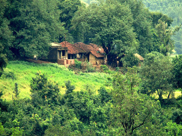 ಅರಕು ಕಣಿವೆ