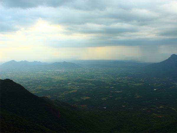 ಕೊಲ್ಲಿ ಬೆಟ್ಟಗಳು