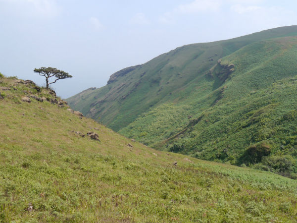 ಬಾಬಾ ಬುಡನ್ ಗಿರಿ (ದತ್ತ ಪೀಠ)